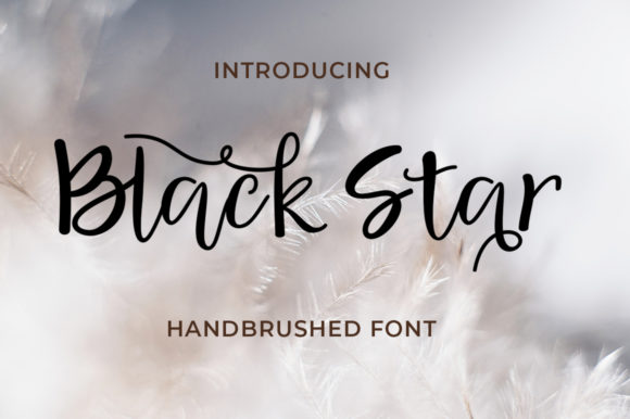 Black Star Font for Business Branding