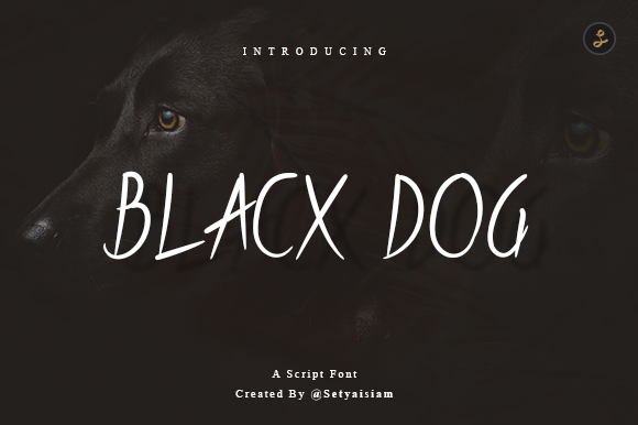 Blacx Dog: A Font That Speaks Volumes