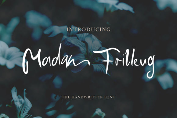 Madam Frilleug: A Script with Character