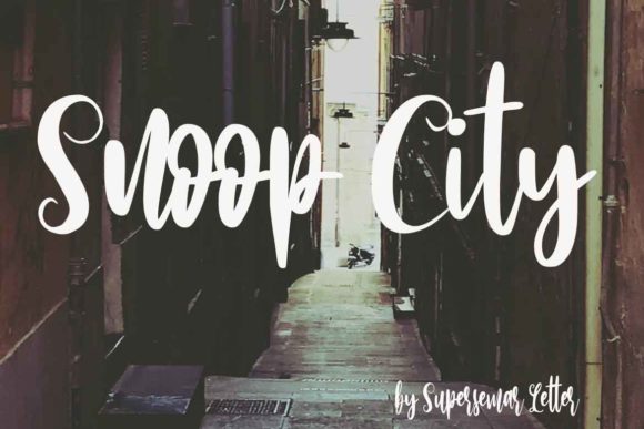 Snoop City Font for Web Design