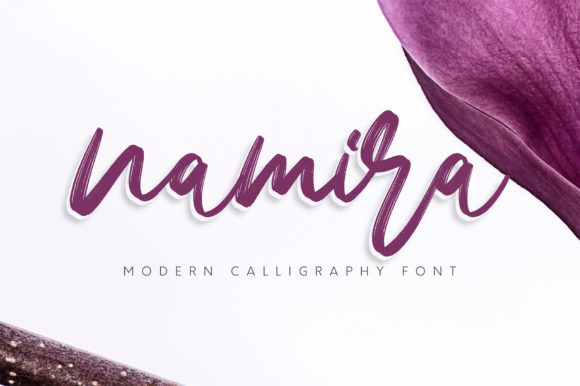 Upgrade Your Brand With Namira